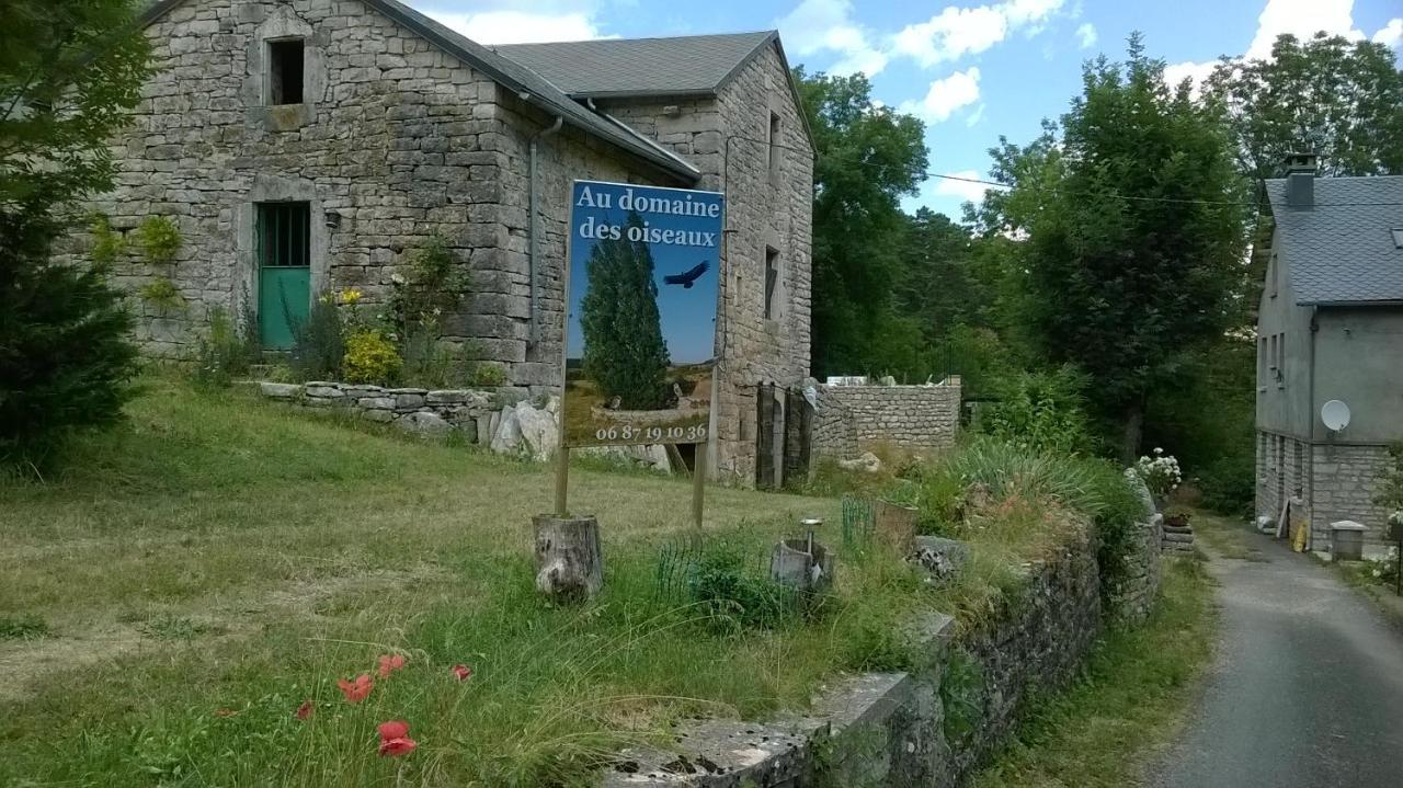 Bed and Breakfast Au Domaine Des Oiseaux Montredon  Exterior foto