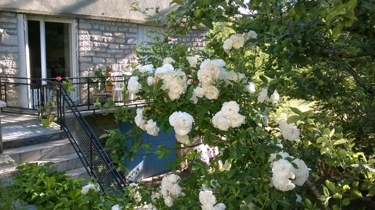 Bed and Breakfast Au Domaine Des Oiseaux Montredon  Exterior foto