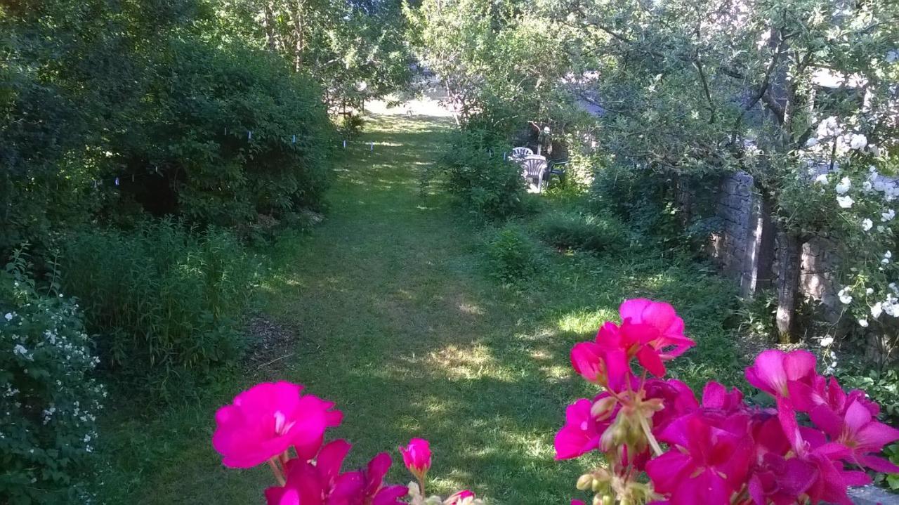 Bed and Breakfast Au Domaine Des Oiseaux Montredon  Exterior foto