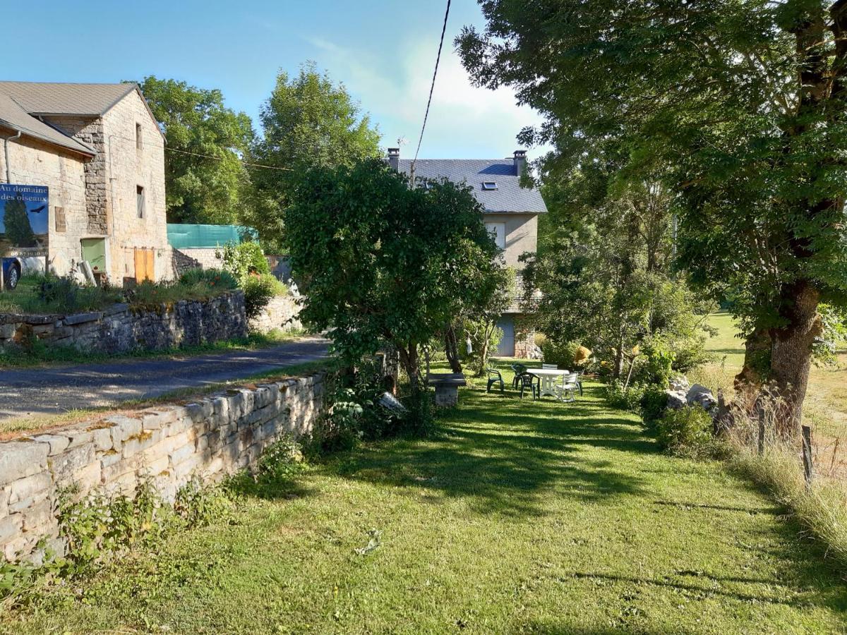 Bed and Breakfast Au Domaine Des Oiseaux Montredon  Exterior foto