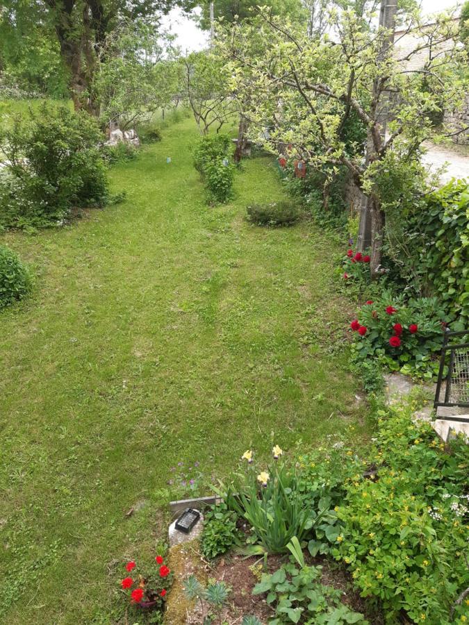 Bed and Breakfast Au Domaine Des Oiseaux Montredon  Exterior foto